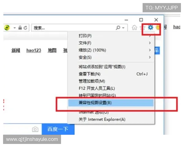 金沙650浏览器官网官方入口，安全稳定的浏览器软件下载与使用教程