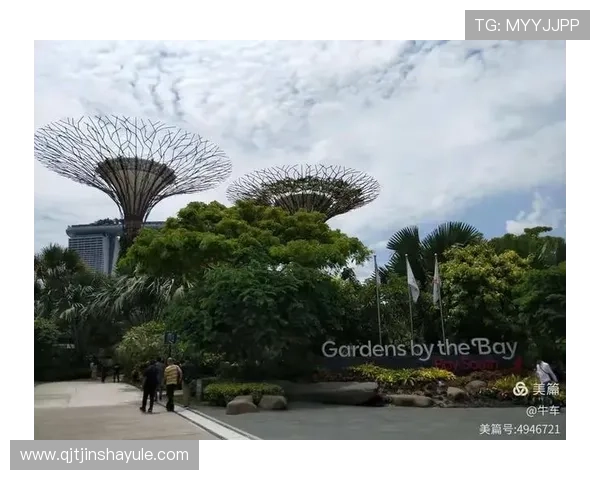 金沙娱乐城在线地址导航，快速找到安全可靠的官方入口渠道