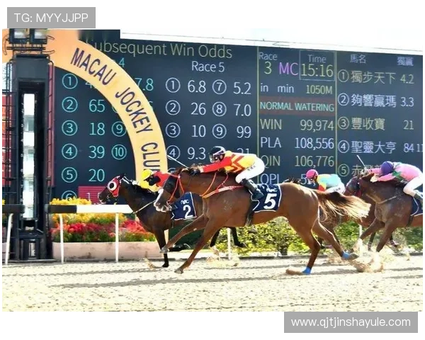 澳门赛马日历史背景与发展趋势深度分析让你了解澳门赛马文化的丰富内涵与未来前景