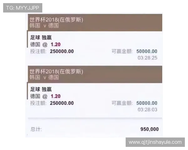 买球哪个平台稳，详细比较各大体育网站世界杯期间的投注安全性与稳定性